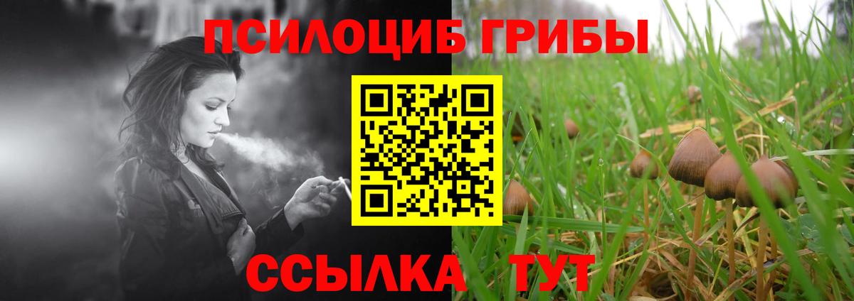 Галлюциногенные грибы GOLDEN TEACHER Ишим